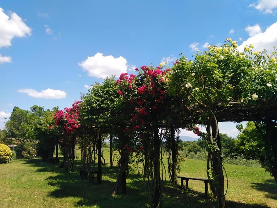 Locanda Rosati Orvieto Bagian luar foto