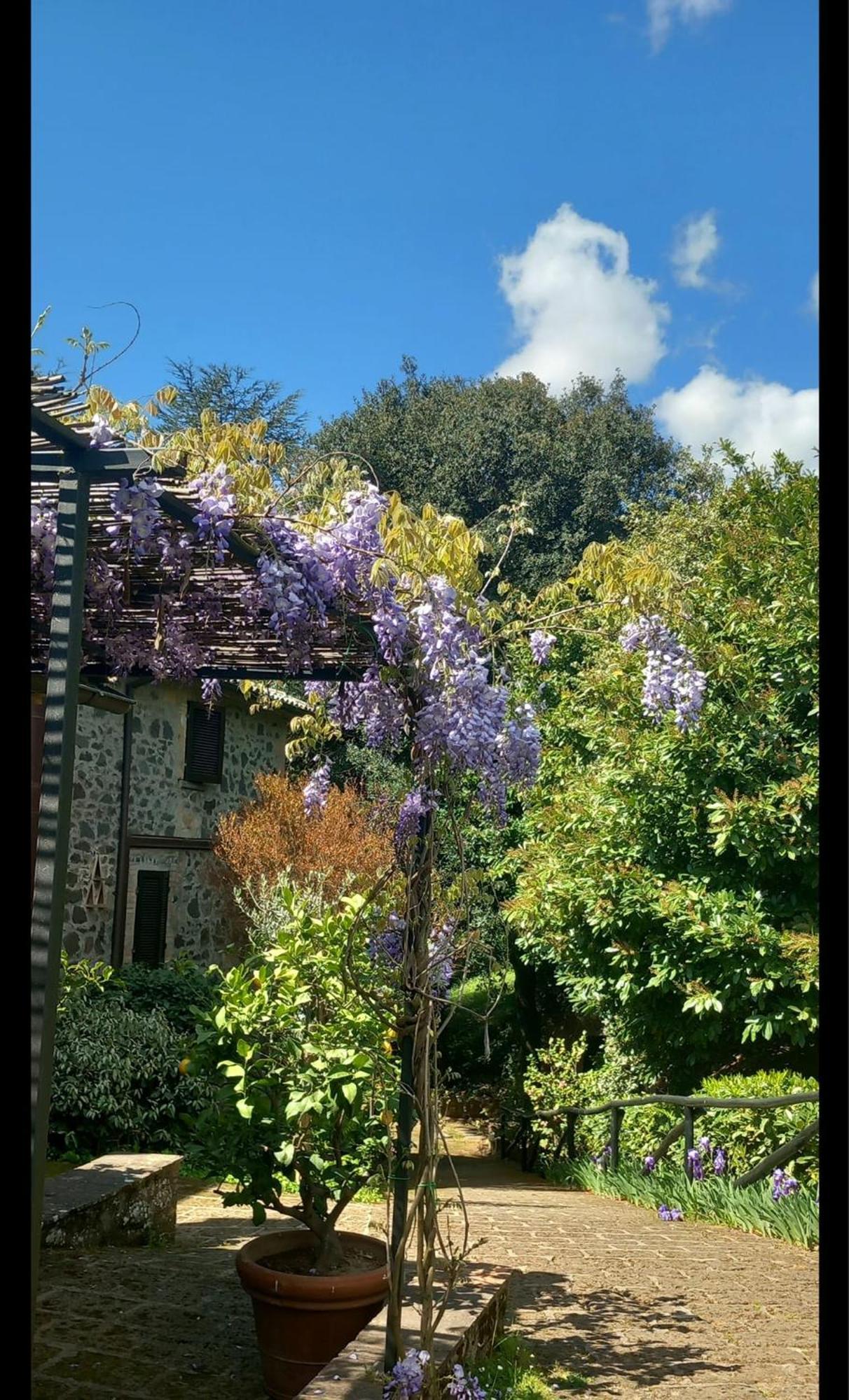 Locanda Rosati Orvieto Bagian luar foto