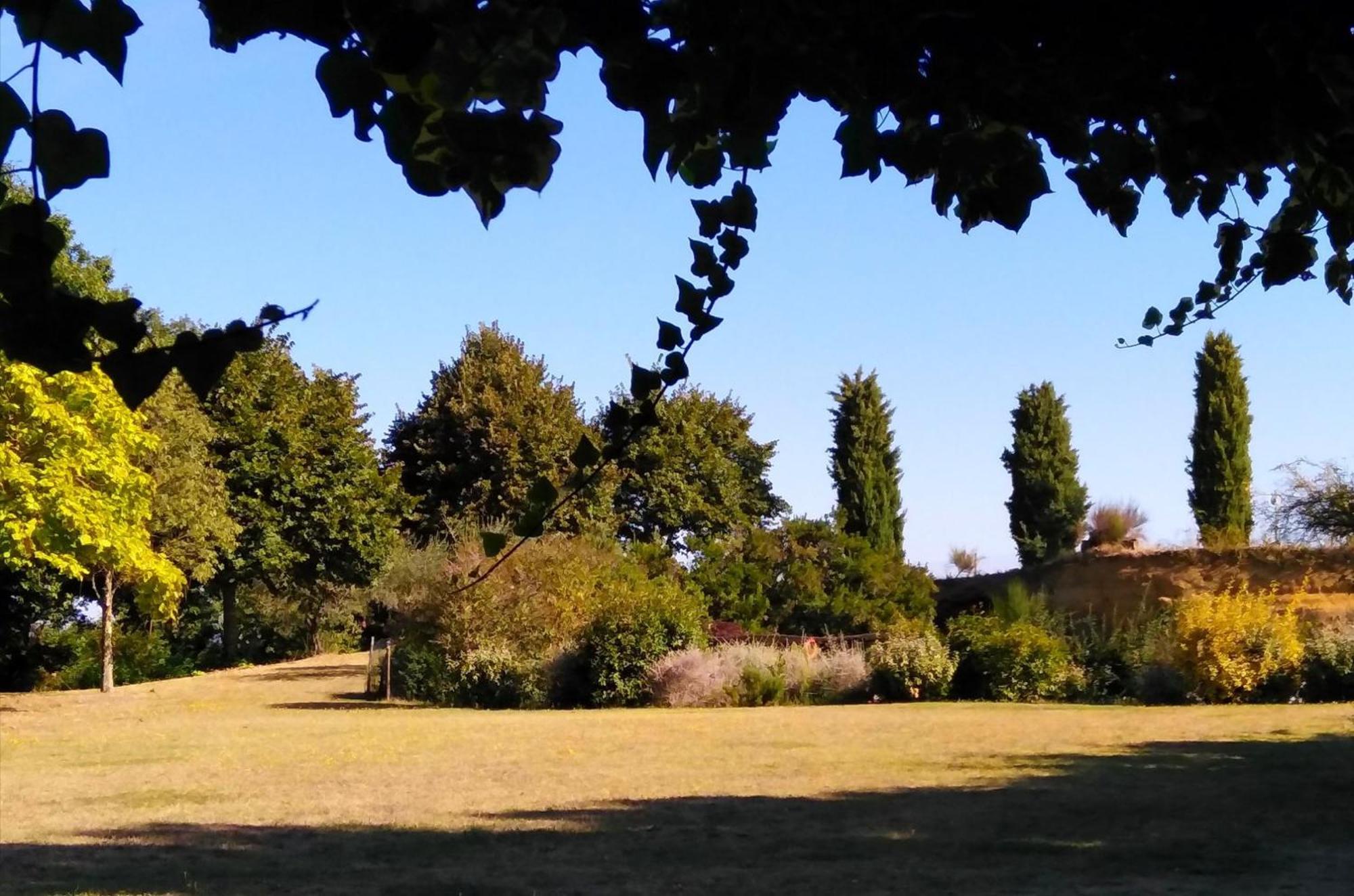 Locanda Rosati Orvieto Bagian luar foto