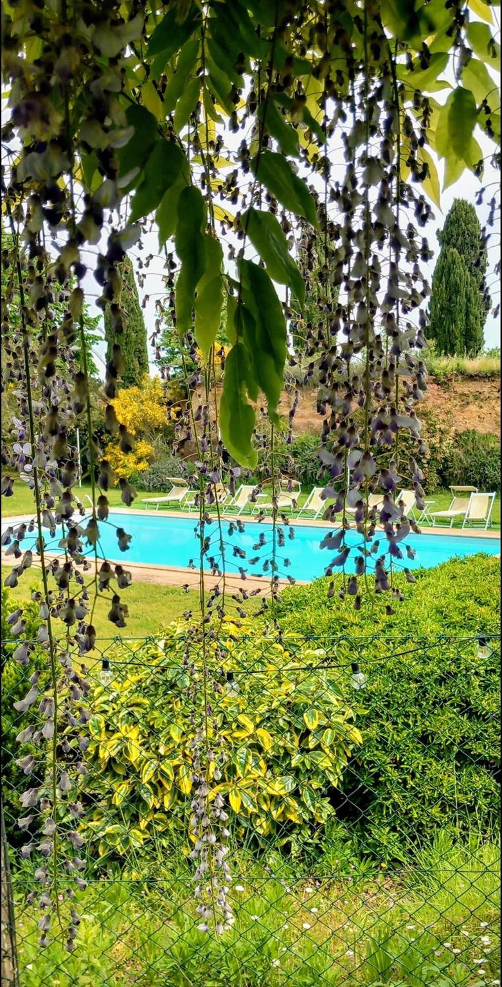Locanda Rosati Orvieto Bagian luar foto