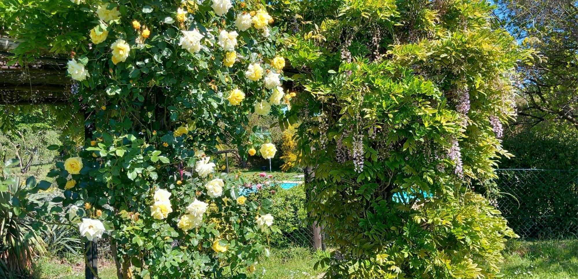 Locanda Rosati Orvieto Bagian luar foto
