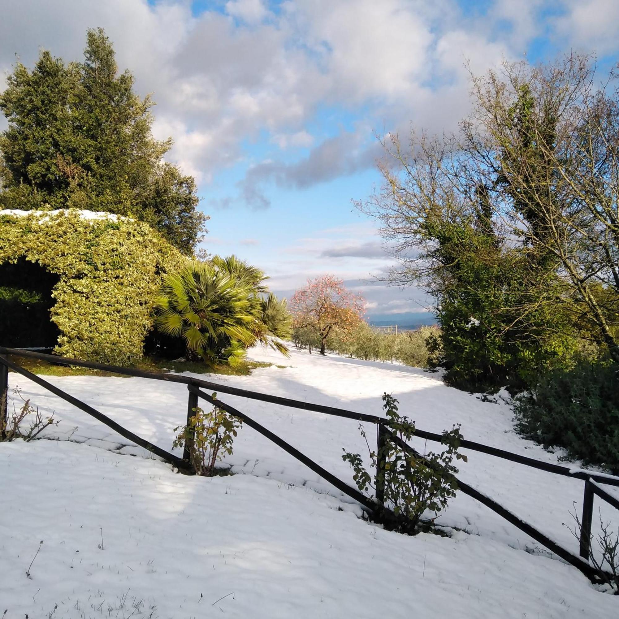 Locanda Rosati Orvieto Bagian luar foto